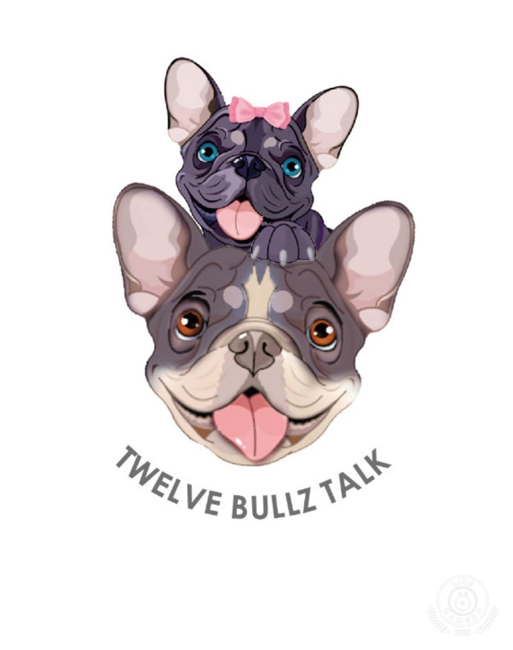 Twelve Bullz Talk
