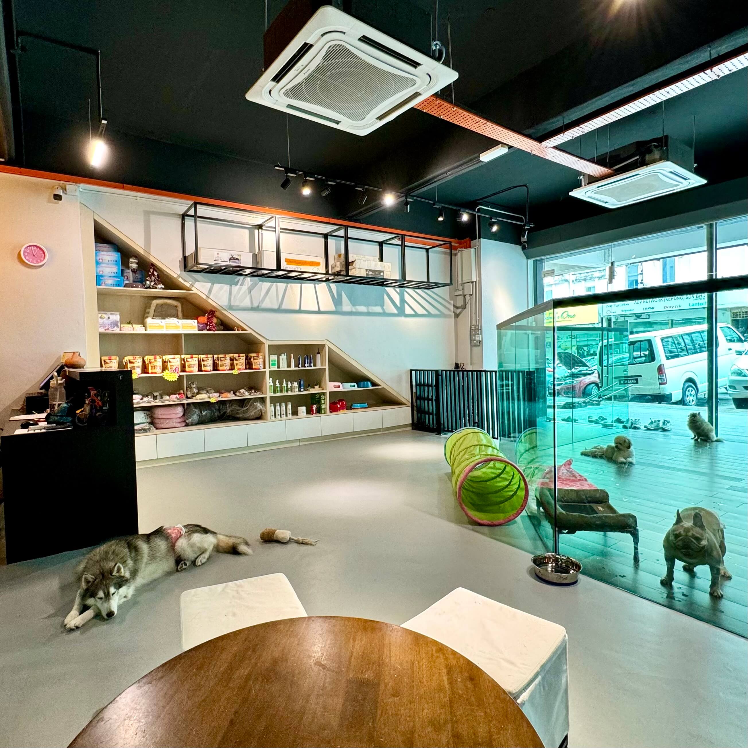 Luxury Paws Resources