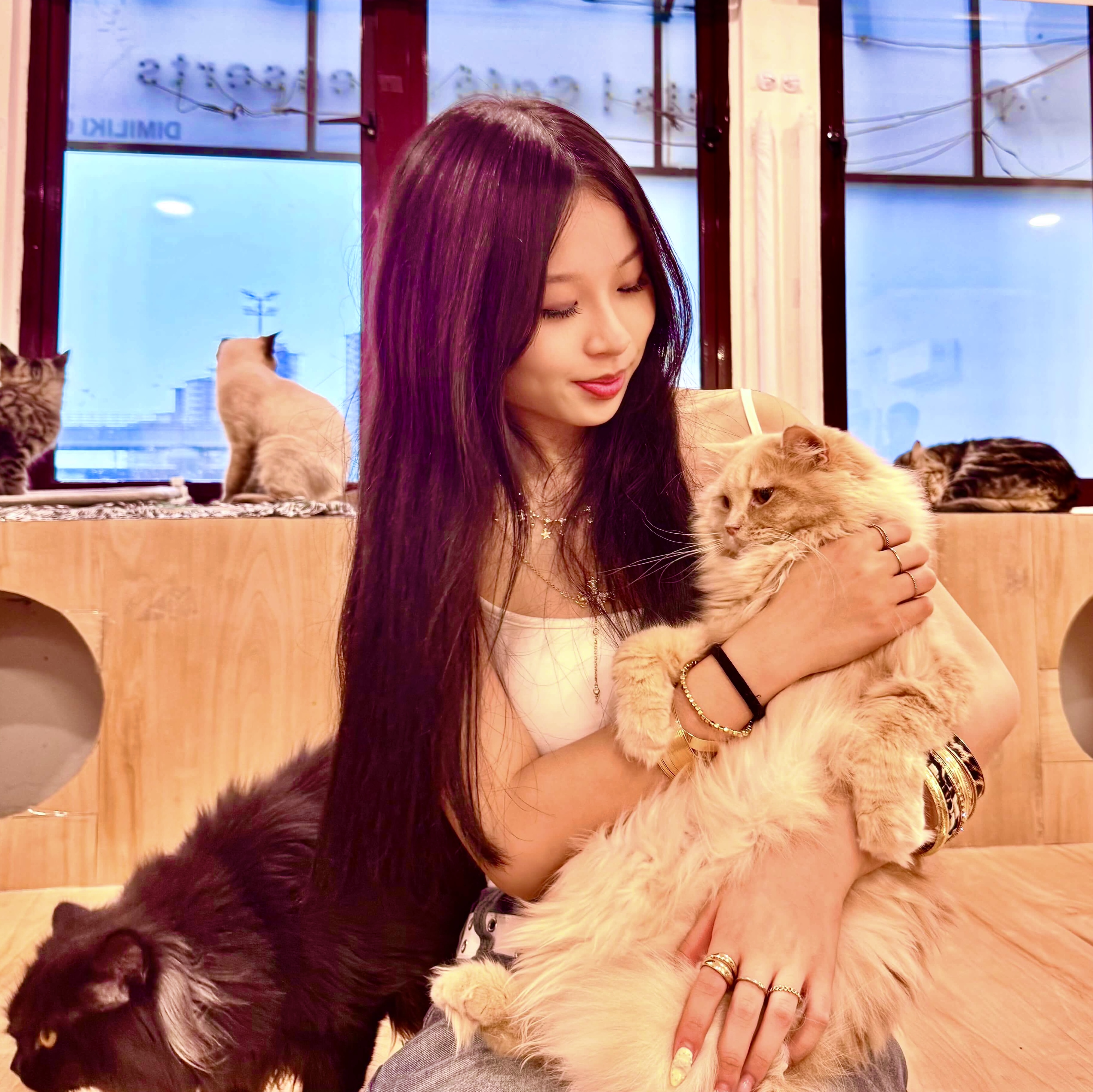 Purrista Cat Cafe