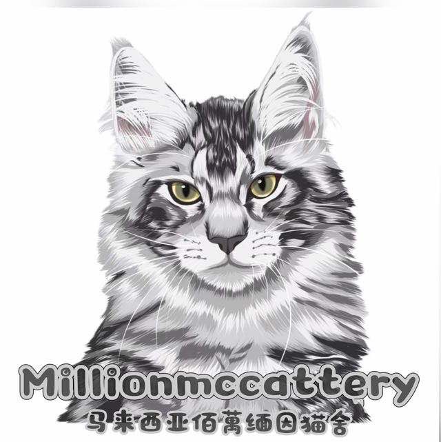 Millionmc Cattery