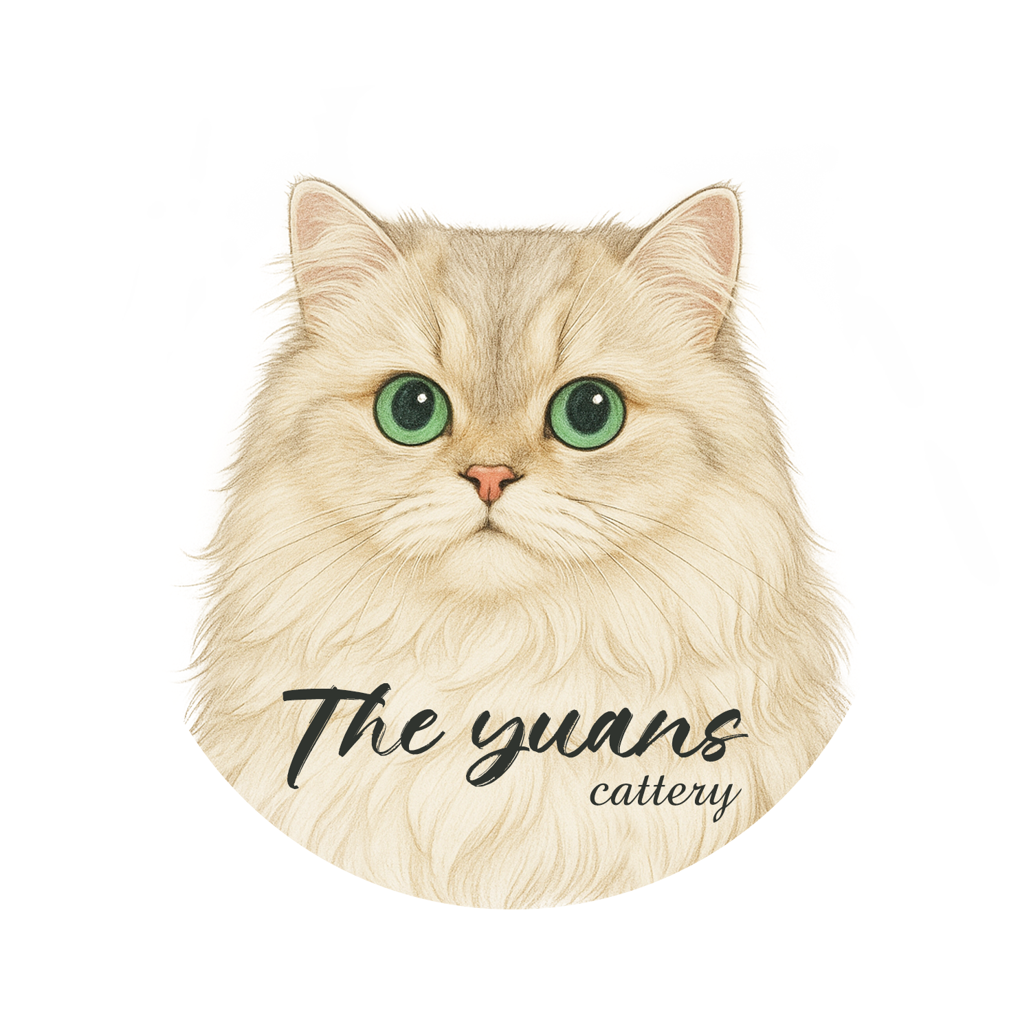 The Yuans Cattery