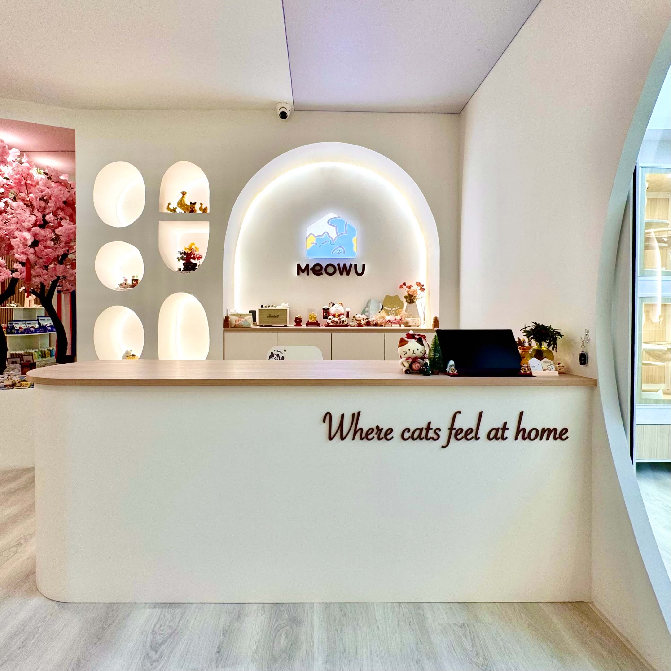 Meowu Cat Hotel & Grooming
