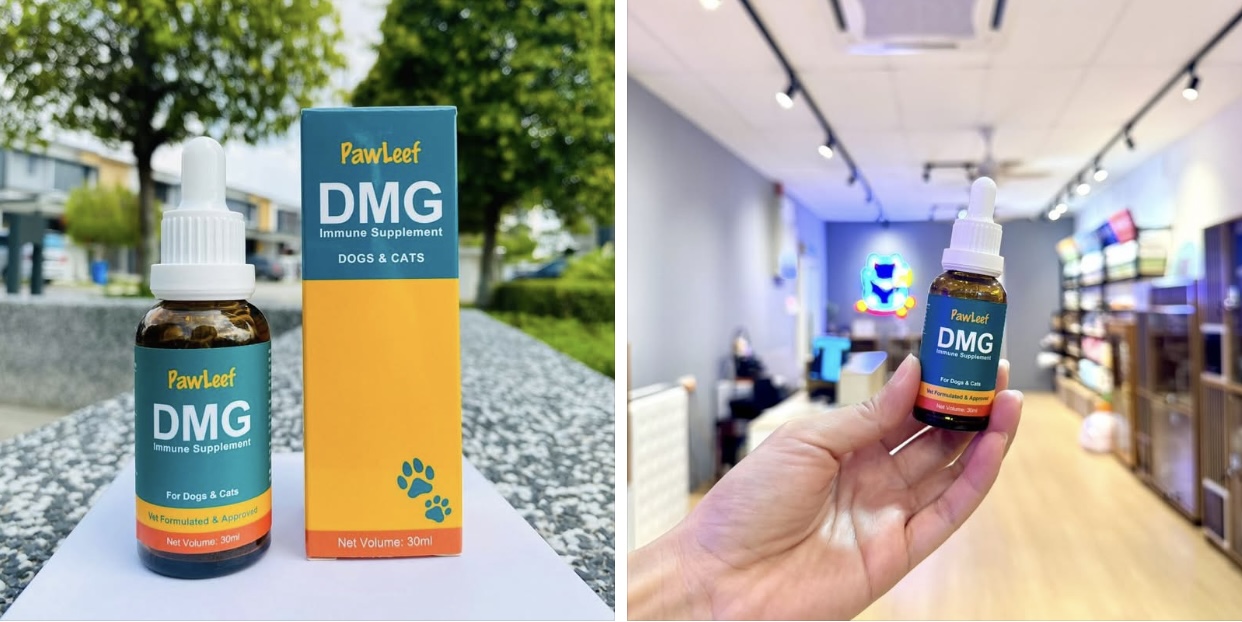 PawLeef DMG - Daily Immune & Recovery Support — Trusted by Veterinarians