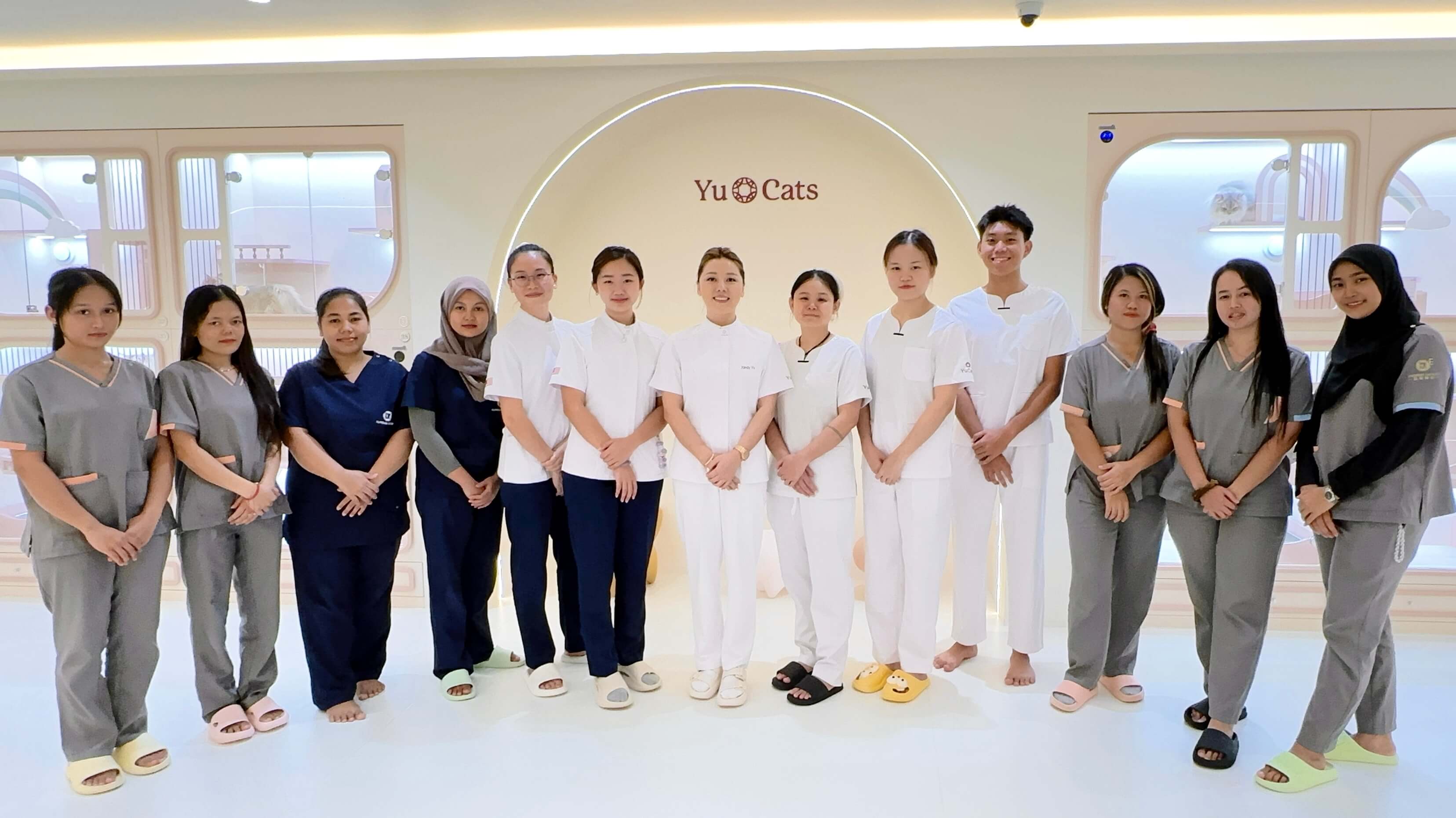 YuCats Experience Centre – Leading New Standards for Malaysia's Cat Industry