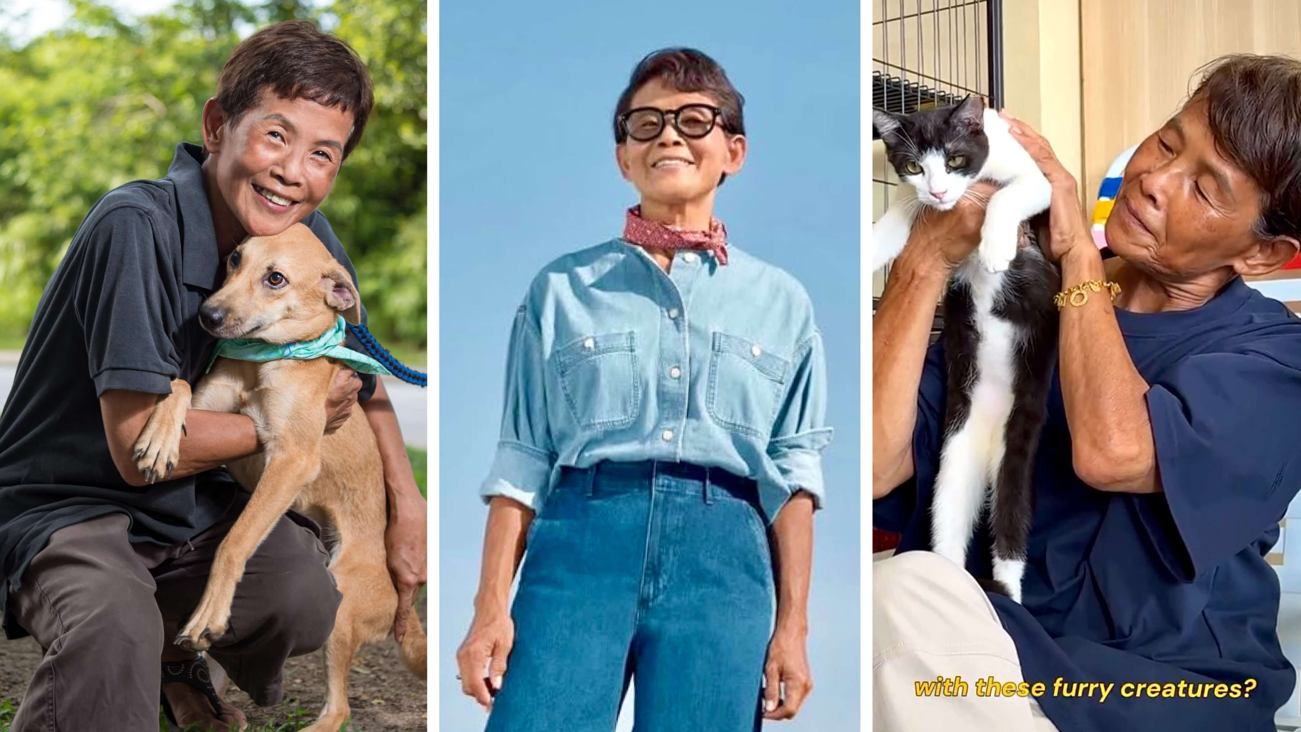 My Pets Haven – Aunty Aileen’s Lifelong Mission to Rescue and Rehome Strays