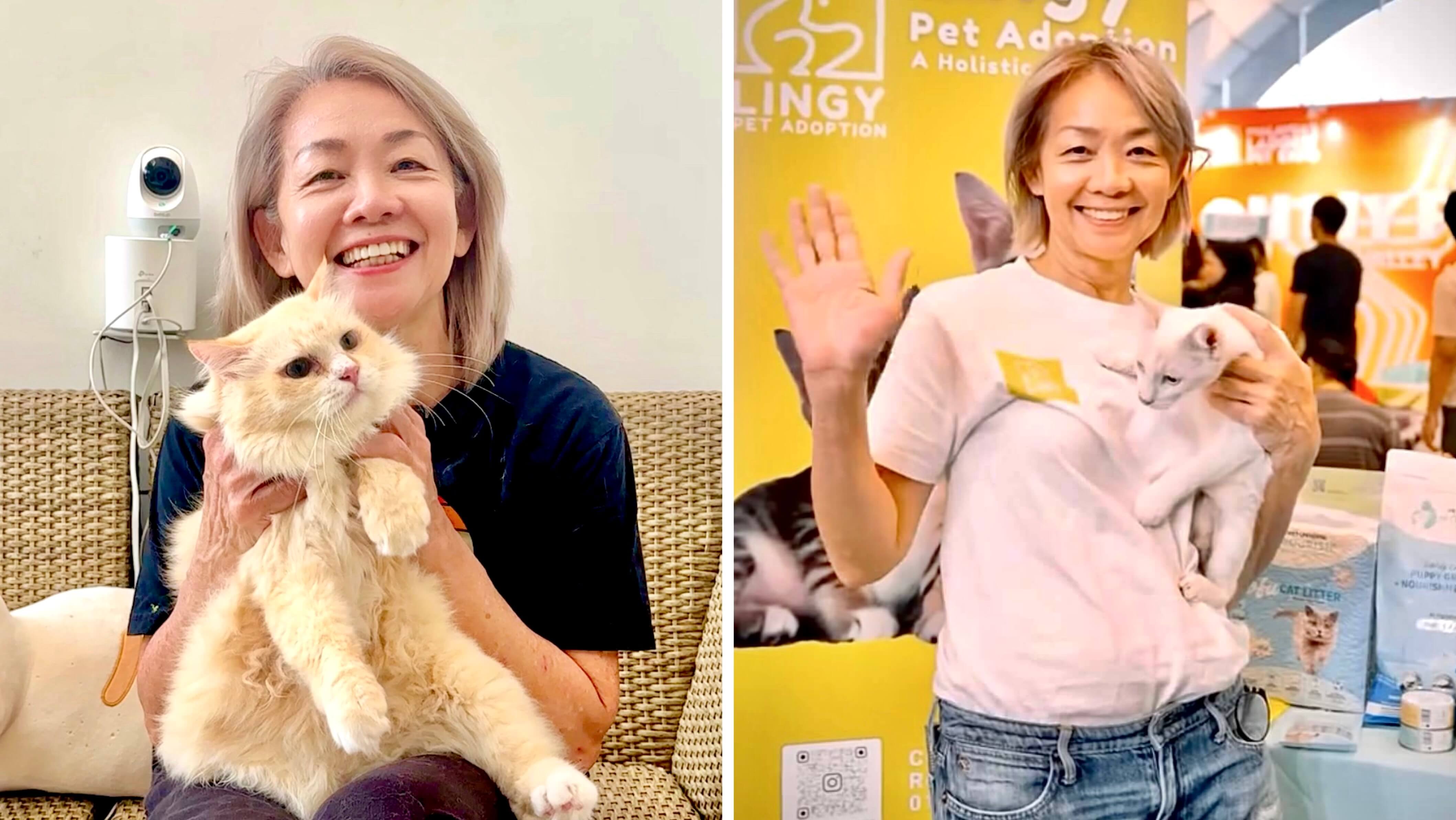 Lingy Pet Adoption — From Rescuing to Reforming the Future of Animal Welfare