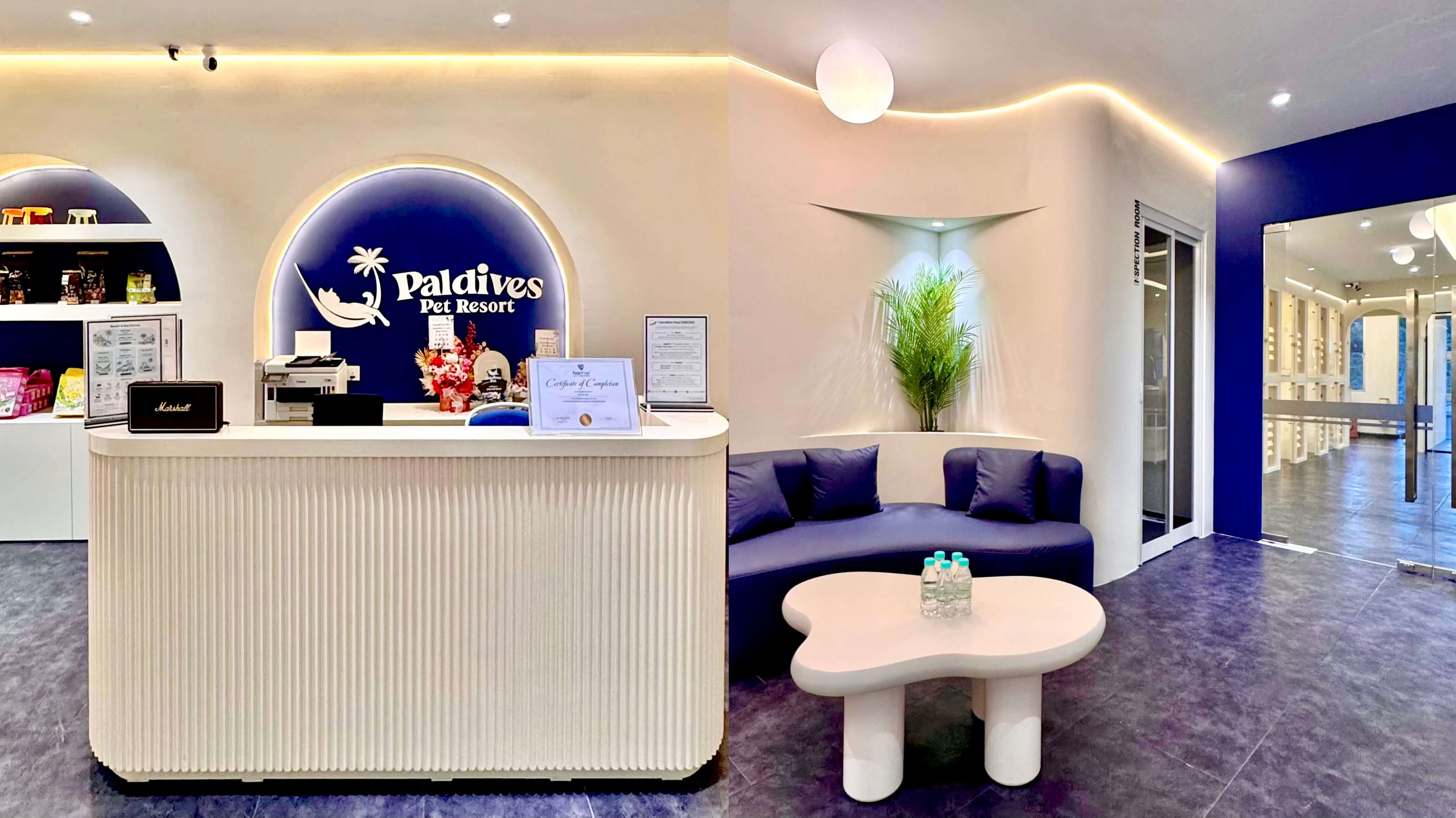 Paldives Pet Resort – The Ultimate Fear-Free Cat Hotel in Johor Bahru