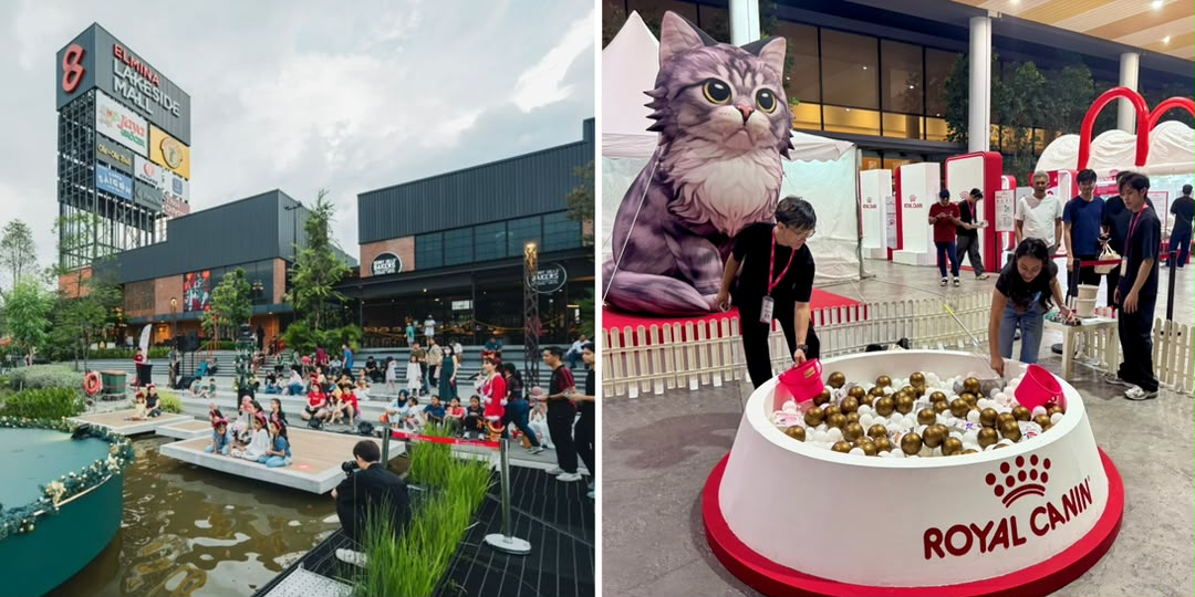 Royal Canin’s Purrfect Adventure Brings Pet Lovers and Cat Adoption Together at Elmina Lakeside Mall